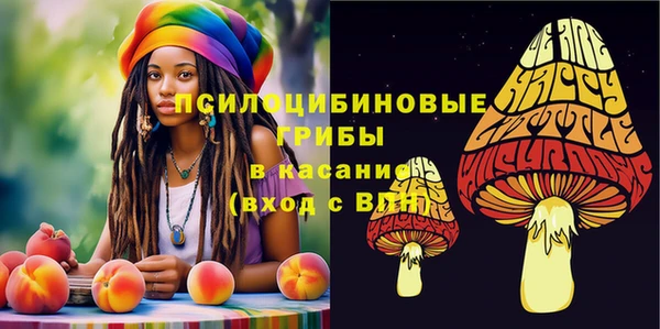 спиды Абинск