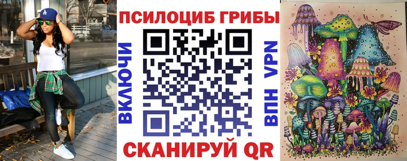 Псилоцибиновые грибы ЛСД  купить   кракен зеркало  Галич 