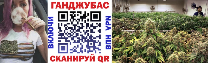 Марихуана Amnesia  закладка  Галич 